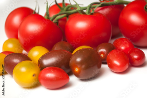 group of various tomatoes en white background