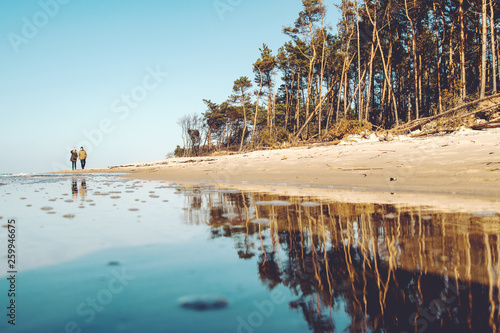 A couple walking down the beach on a bright spring sunny day with water reflection and pine trees. Weststrand National Park Darß, Zingst, Baltic Sea (Deutsche Ostsee) in Germany photo