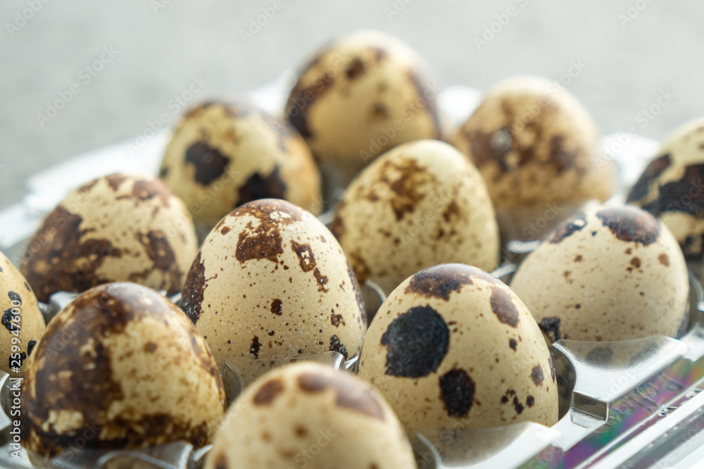 Fototapeta premium Quail eggs in plastic box, Quail eggs background
