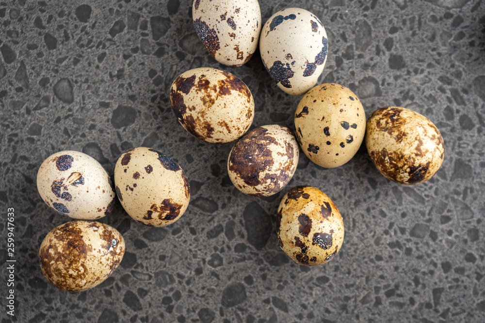 Small quail eggs on the stone background Small quail eggs on the stone background