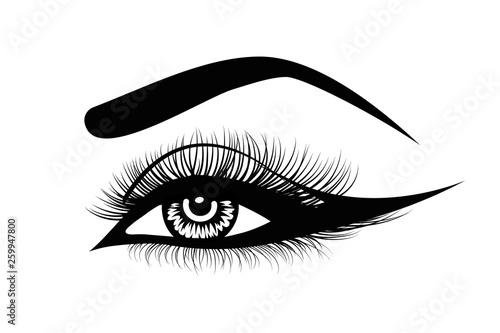 Vector eye lashes. Hand-drawn woman s sexy luxurious eye with perfectly shaped eyebrows and full lashes. Idea for business visit card, typography vector. Perfect salon look.