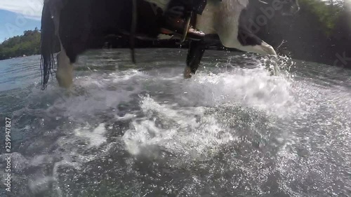 Wallpaper Mural Cowboy Riding Horse Across River In Slow Motion Torontodigital.ca