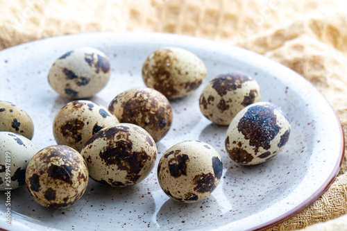 Quail Eggs on the gray plate, eco product
