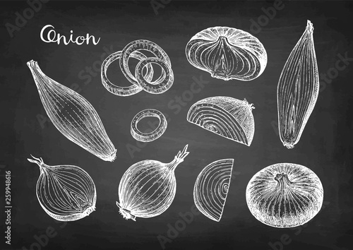 Chalk sketch of onion