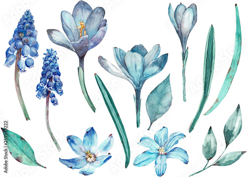 Blue spring flowers clip-art. Separate watercolor elements of flowers and leaves isolated on white background.