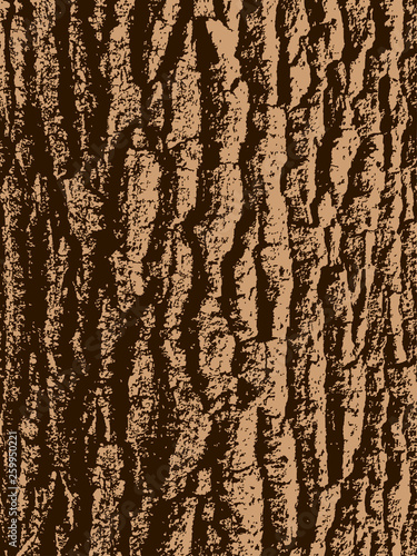 oak tree bark