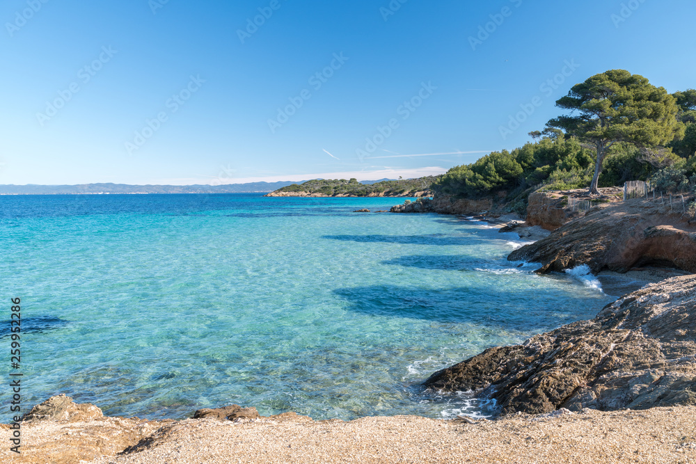 Fototapeta premium paysage de l'île de Porquerolles