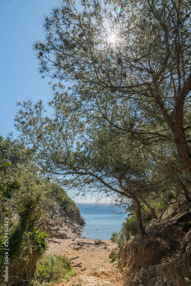 paysage de l'île de Porquerolles