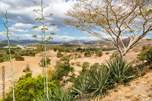 Dry savanna. Rural landscape, nature of East Timor or Timor-Leste, near Baucau, Vemasse, Laleia, Manatuto. Maritime Southeast Asia