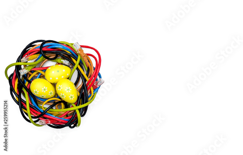 Easter eggs and nest of internet cables on white backgound