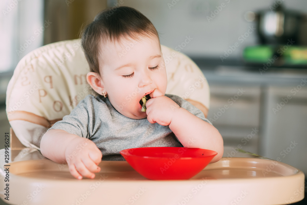 little girl on a high chair eating kiwi little girl on a high chair eating kiwi