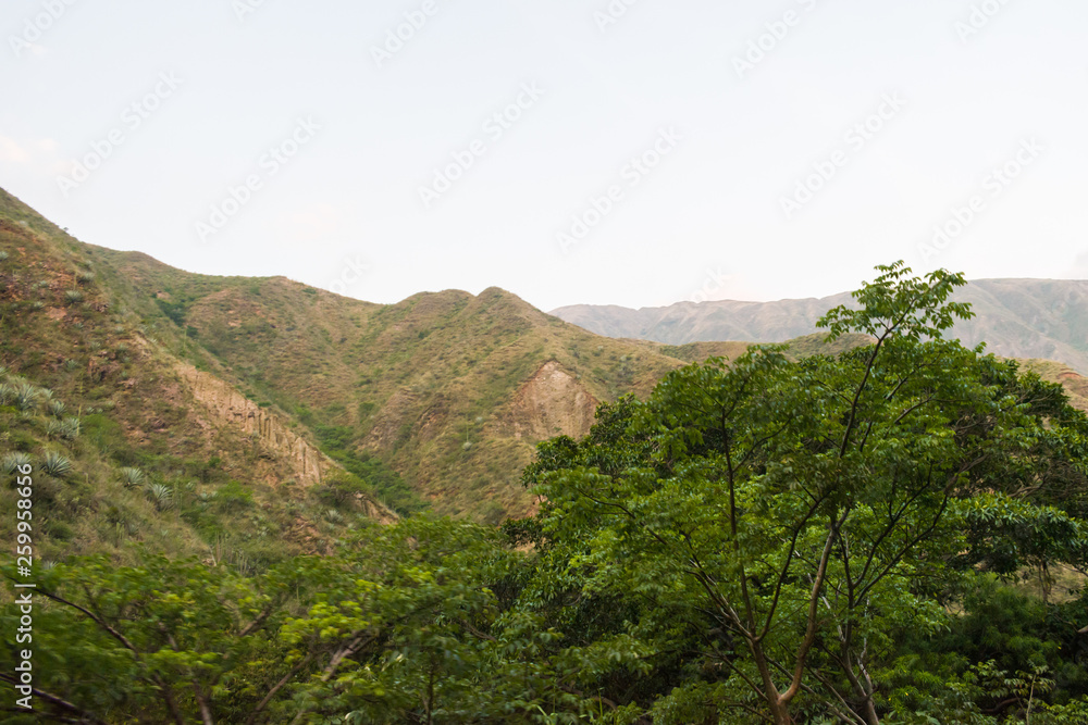 LANDSCAPE OF THE MOUNTAINS SURROUNDING THE CHICAMOCHA CANYON IN COLOMBIA WITH GREEN VEGETATION AND TREES