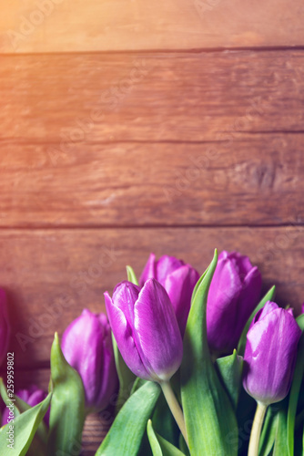 Fototapeta Naklejka Na Ścianę i Meble -  Beautiful purple tulips on dark rustic background