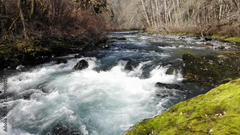 White water rapids on the Dosewallips river in Washington on the Olympic Peninsula White water rapids on the Dosewallips river in Washington on the Olympic Peninsula