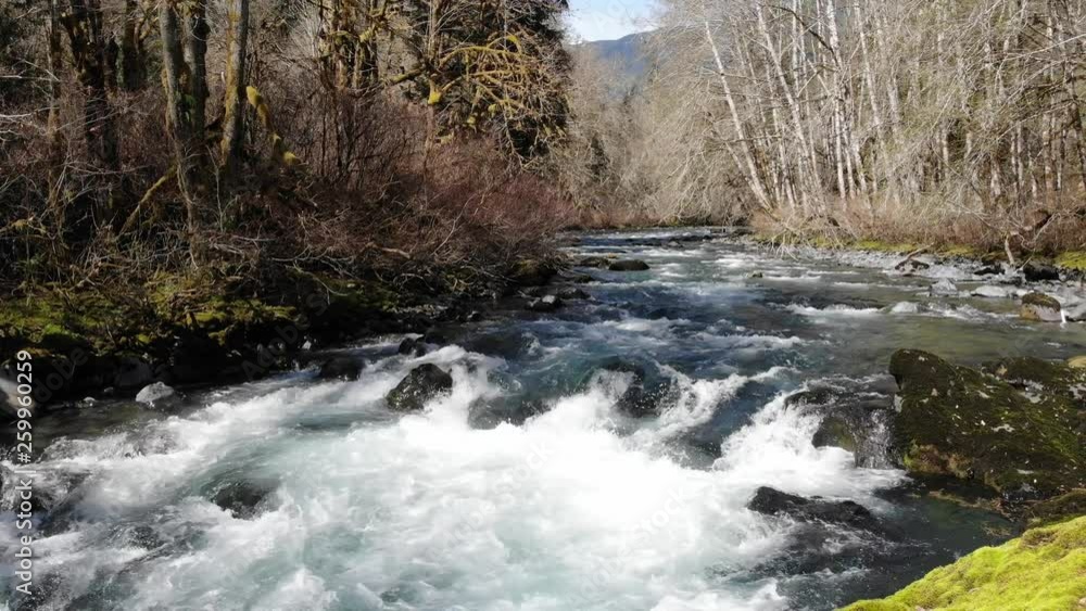 White water rapids on the Dosewallips river in Washington on the Olympic Peninsula White water rapids on the Dosewallips river in Washington on the Olympic Peninsula