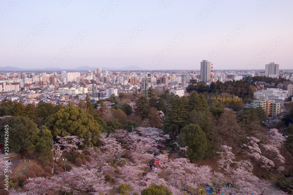 宇都宮市　宇都宮タワーから見た八幡山公園と街並み