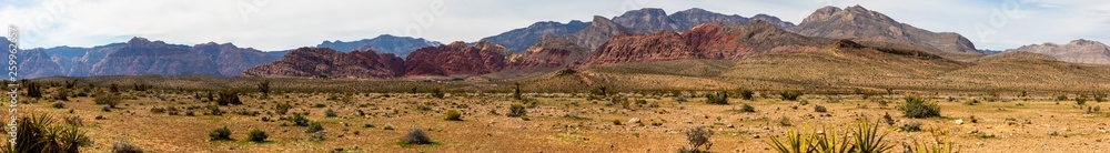 Red Sandstone Panoramic View