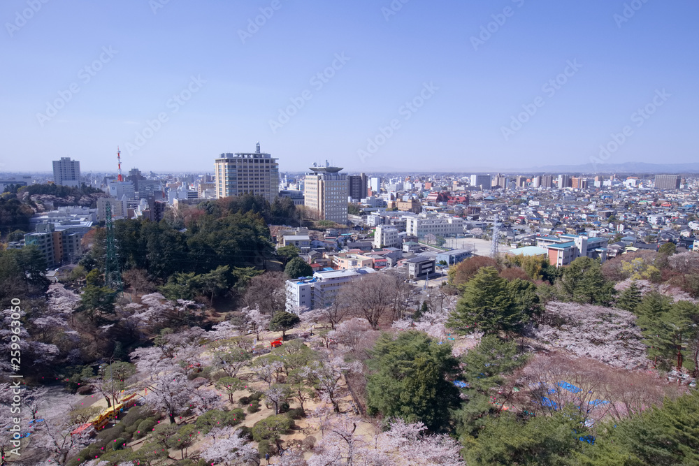 宇都宮市 宇都宮タワーから見た八幡山公園と街並み 宇都宮市 宇都宮タワーから見た八幡山公園と街並み
