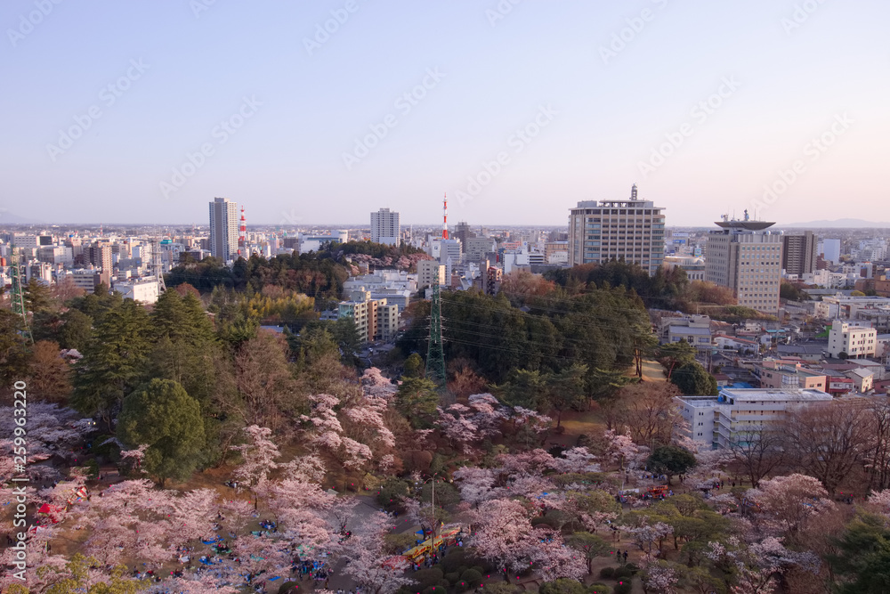 宇都宮市　宇都宮タワーから見た八幡山公園と街並み