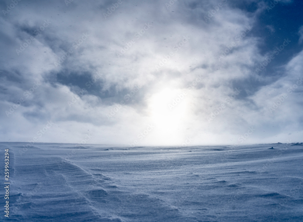 Strong wind moves snowflakes around like under light snowstorm, subarctic Scandinavian mountains in the middle of winter, everything is cold and frozen Strong wind moves snowflakes around like under light snowstorm, subarctic Scandinavian mountains in the middle of winter, everything is cold and frozen