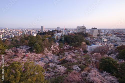 宇都宮市　宇都宮タワーから見た八幡山公園と街並み photo