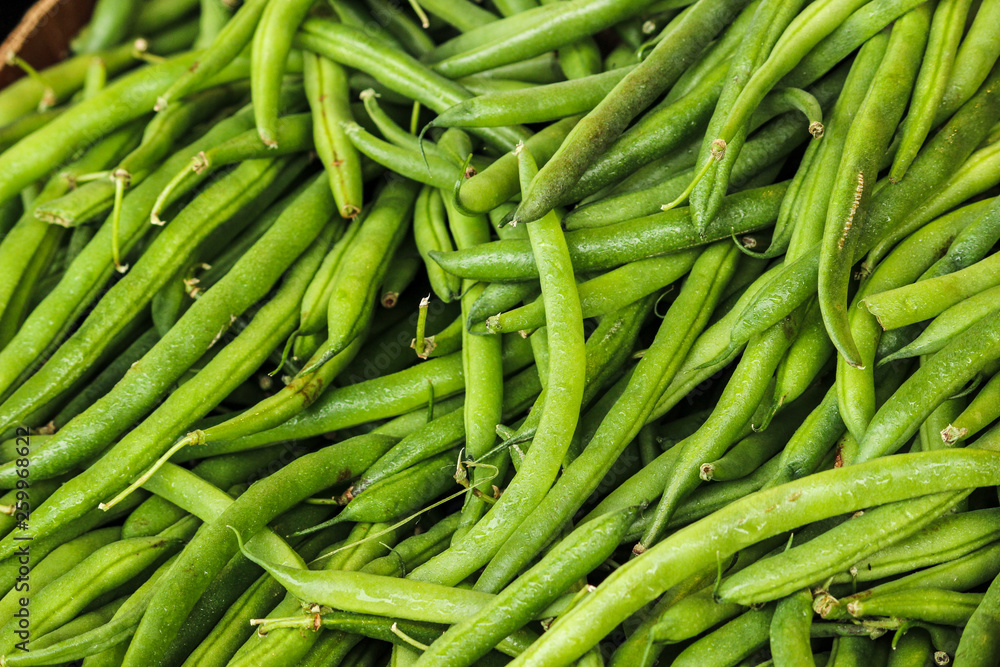 Fresh green beans ready for sale. Fresh green beans ready for sale.