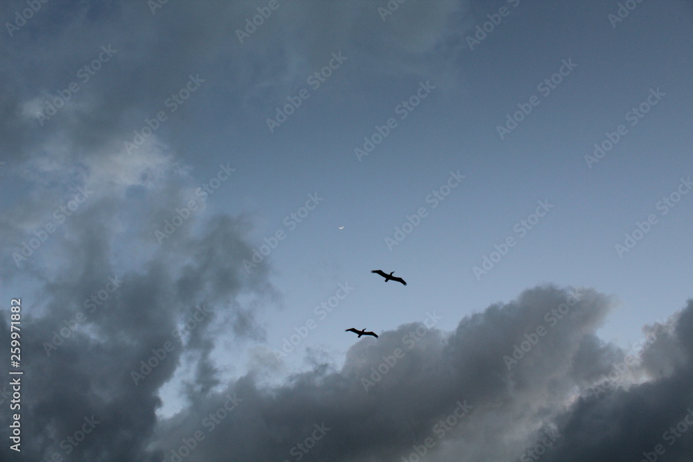 Cielo y mar Cielo y mar