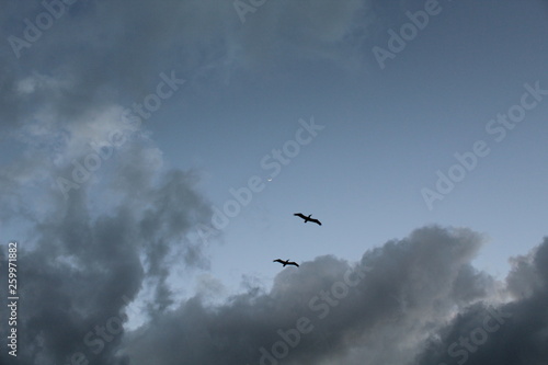 Cielo y mar