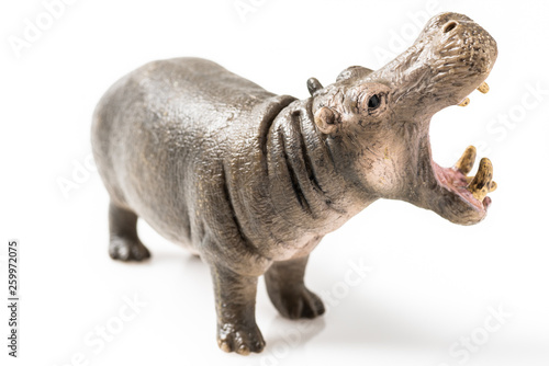 Hippopotamus figurine on white background