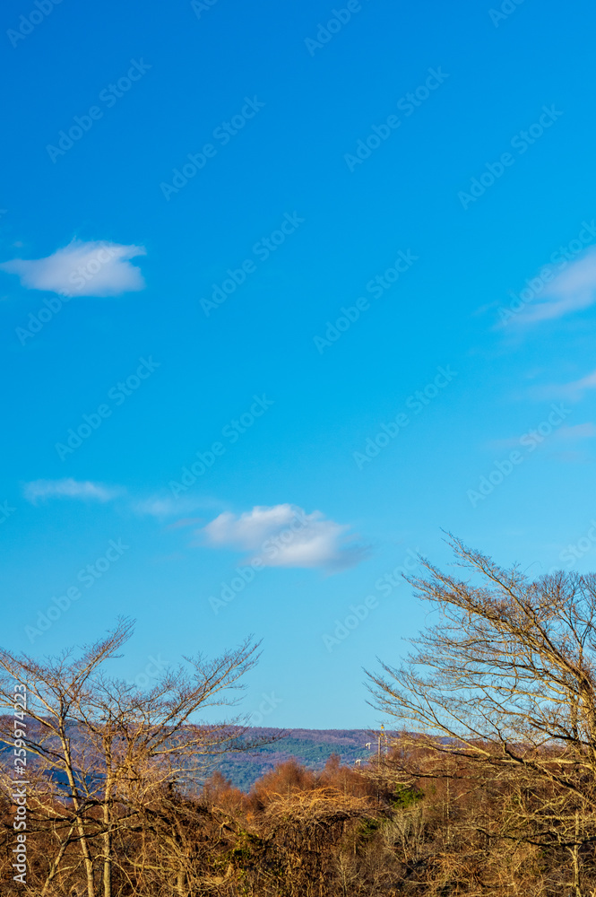 Obraz premium 晩秋の浅間山