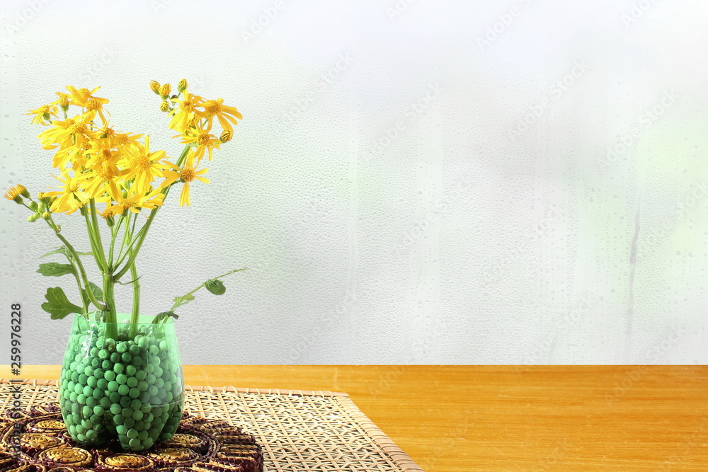 beautiful spring yellow flower blooming texture background