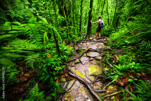 Man exploring the jungle in Guadeloupe