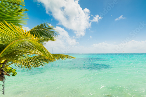 Fototapeta Naklejka Na Ścianę i Meble -  Turquoise water in Sainte Anne shore in Guadeloupe