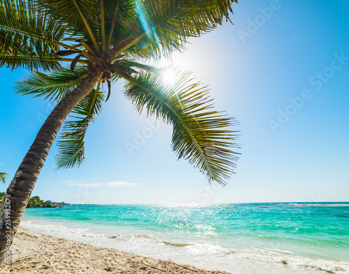 Fototapeta Naklejka Na Ścianę i Meble -  Sun shining over Raisins Clairs beach in Guadeloupe
