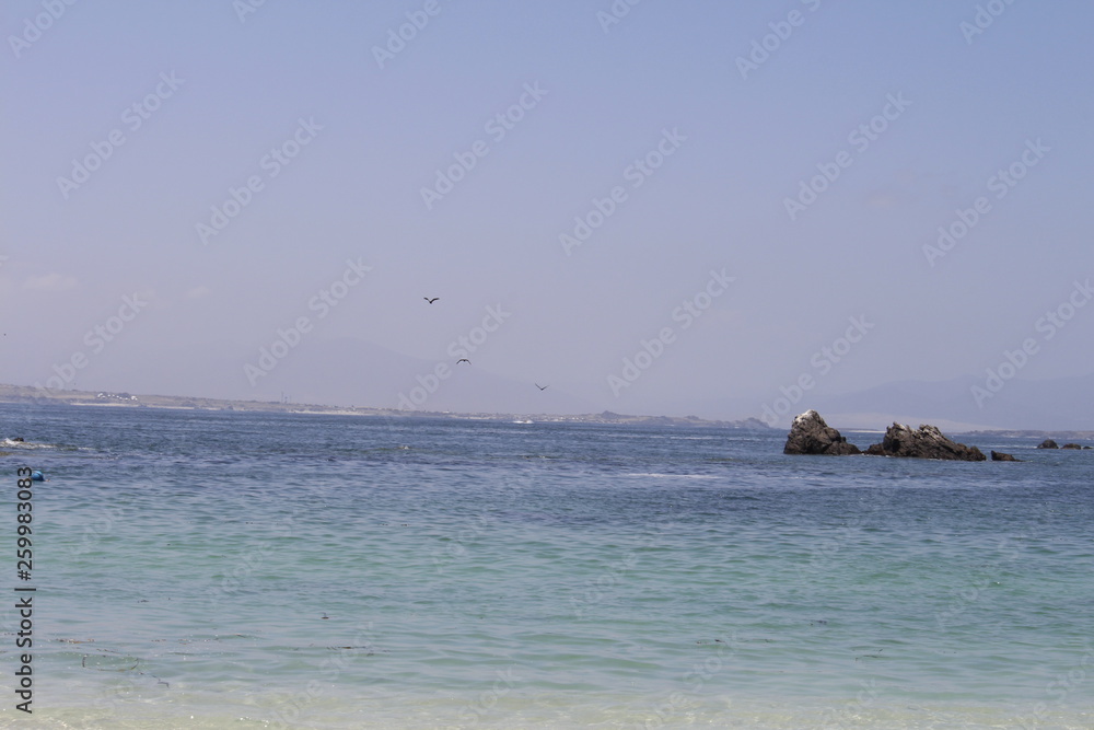 El paraíso. El paraíso.