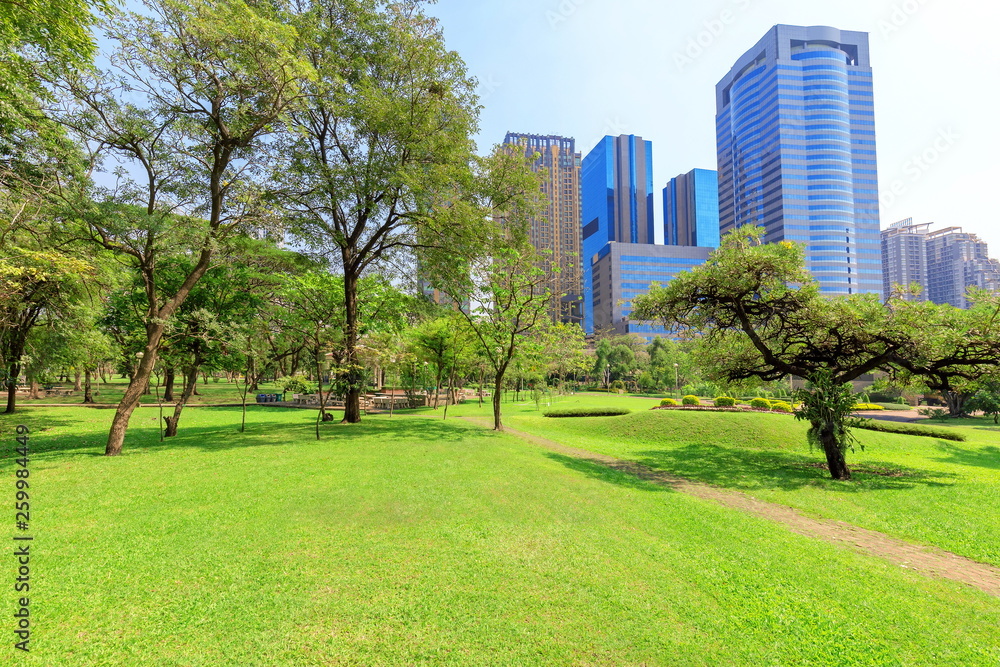 Beautiful garden in daytime Beautiful garden in daytime