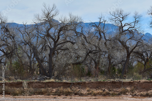 Southwest Rio Grand River Albuquerque