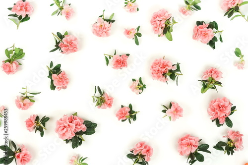 Flowers background pattern isolated, floral card . Pink flowers azalea on white background. Top view. 