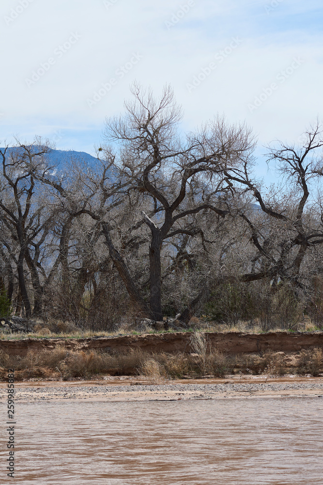 Southwest Rio Grand River Albuquerque Southwest Rio Grand River Albuquerque