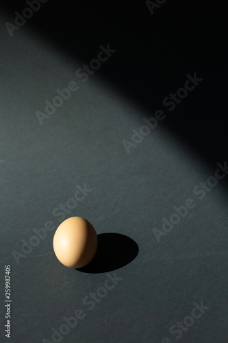 Egg and egg yolk on the gray black background. topview