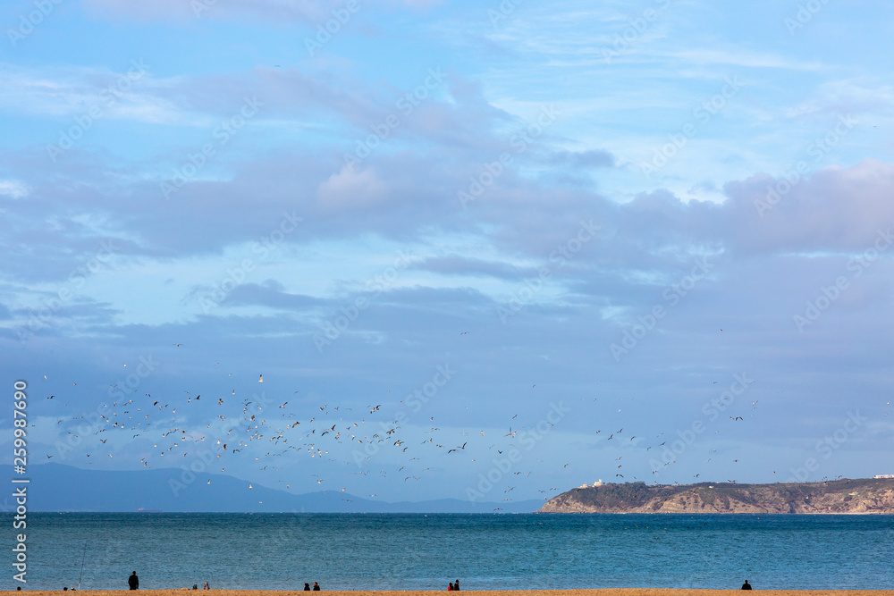 Obraz premium Coast, sea and dramatic sky