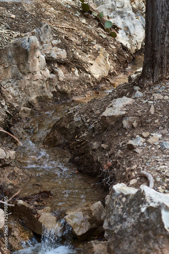 Southwest Mountain Creek