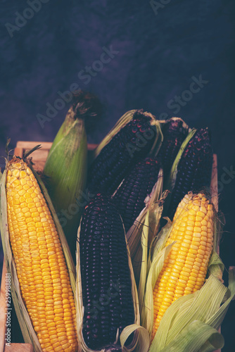 variety organic corn for food