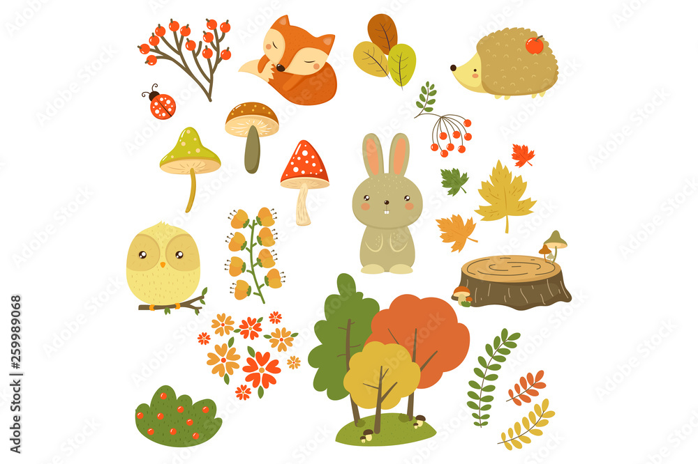 Fototapeta premium Autumn forest elements set, forest animals, leaves, flowers, berries and mushrooms cartoon vector Illustrations on a white background