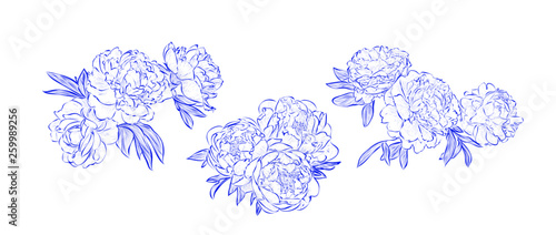 Set of floral arrangements