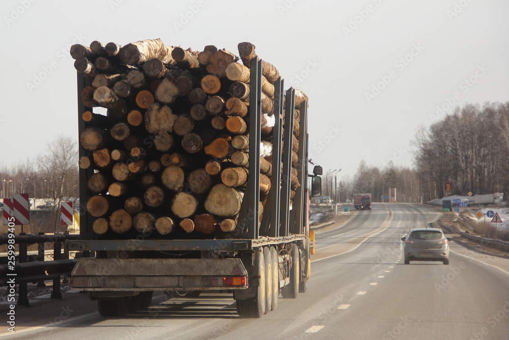 Heavy truck transports logs on a semi-trailer on a suburban asphalt highway on a winter day against a gray sky  - commercial timber import in Europe, wood trading