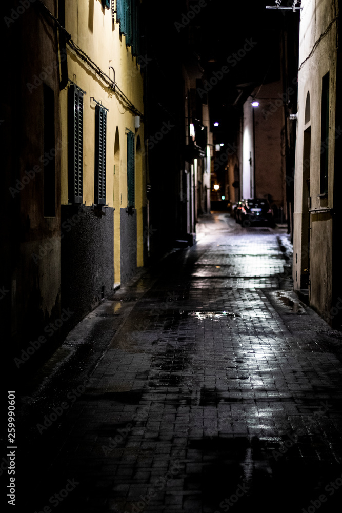 Night urban scene on a wet cobble stone street in Pisa, Italy