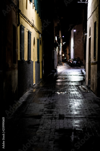 Night urban scene on a wet cobble stone street in Pisa  Italy