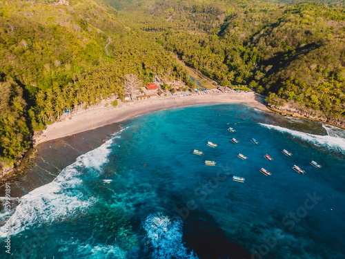 Tropical beach with coconut palms and ocean. Crystal bay, Nusa Penida. Aerial view