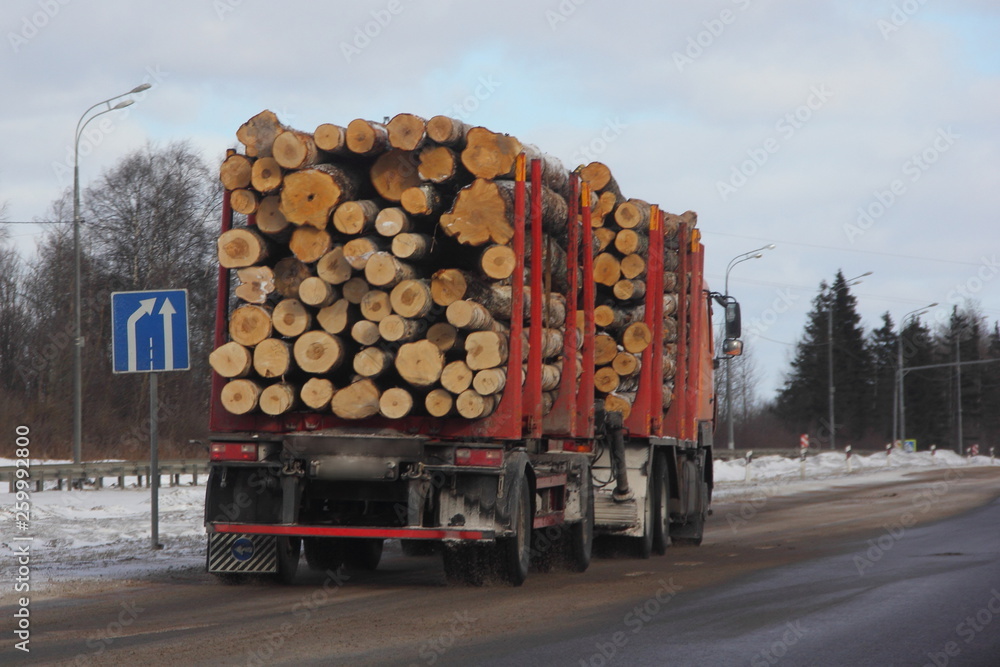 Transportation of wood, heavy timber truck carries logs on a winter road